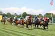 horses racing
