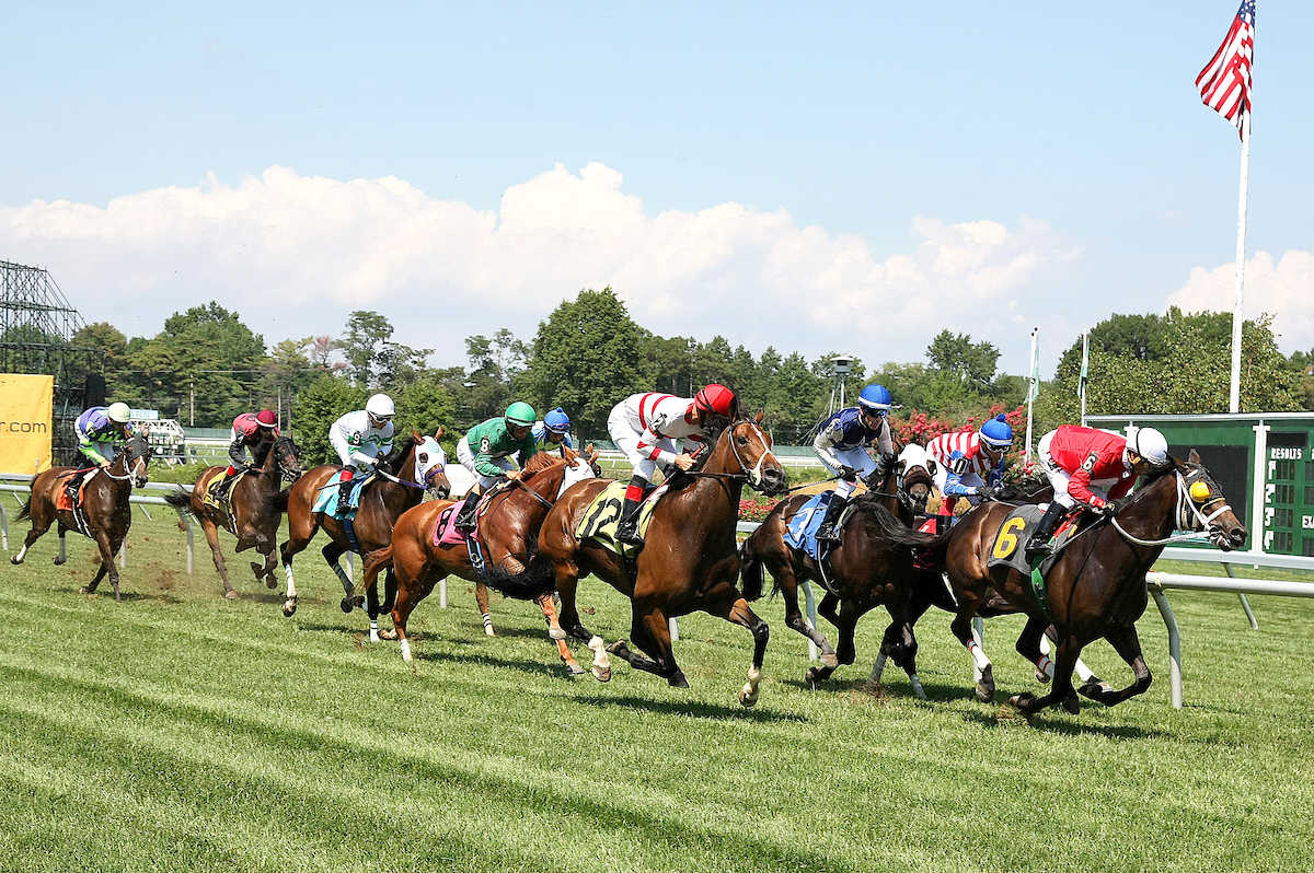 horses racing