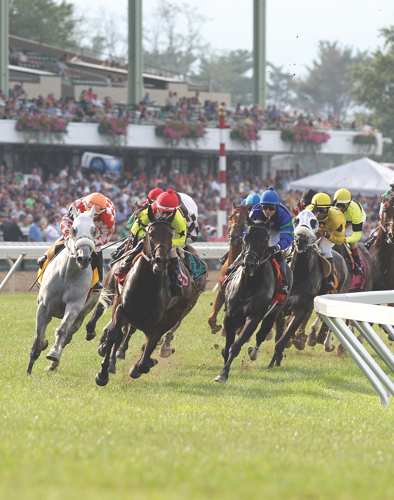 close up of horses racing