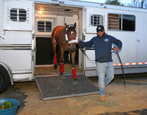 horse and handler near horse trailer