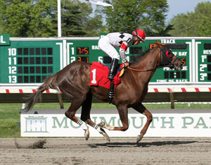 galloping horse and rider