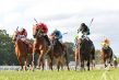 close up of horses racing