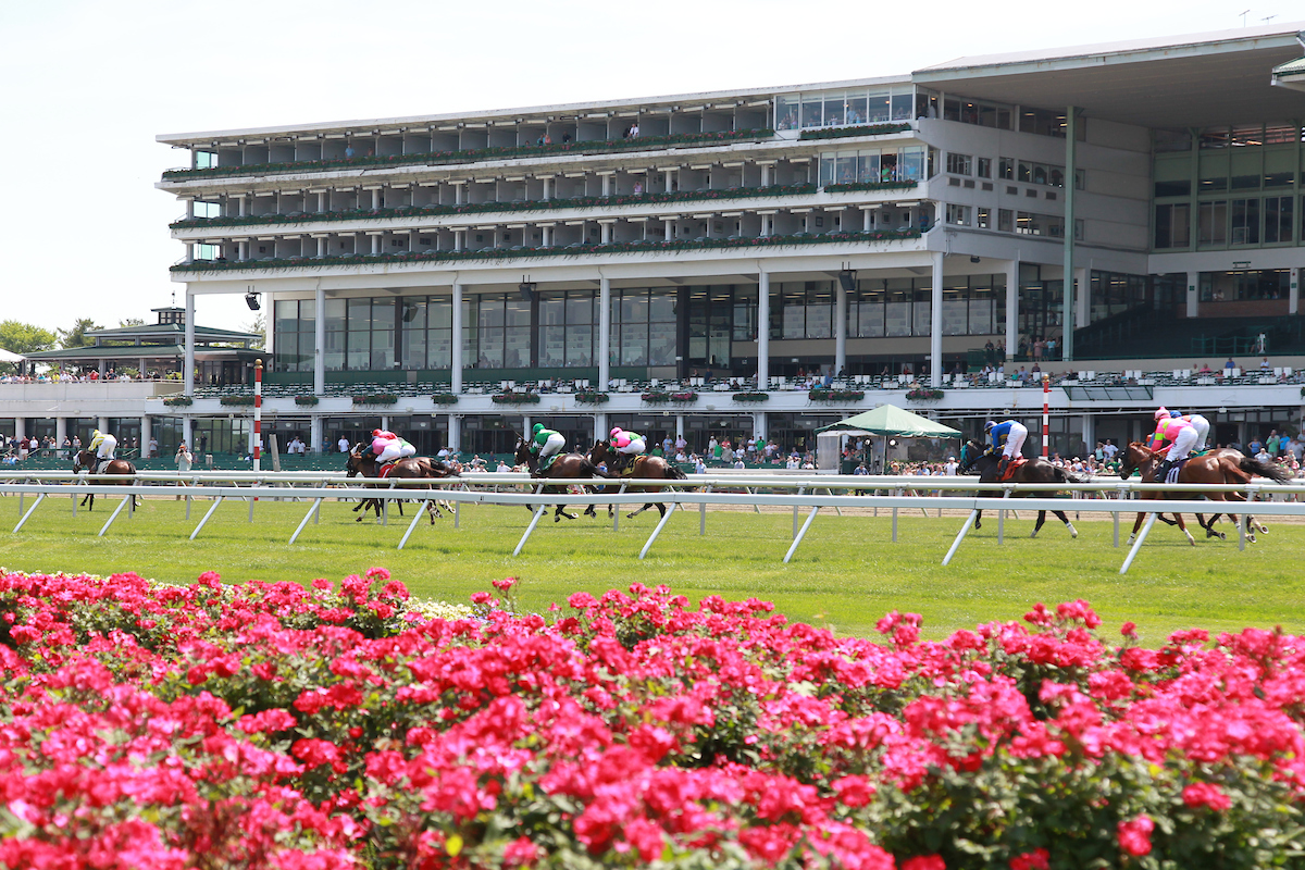 clubhouse & grandstand boxes