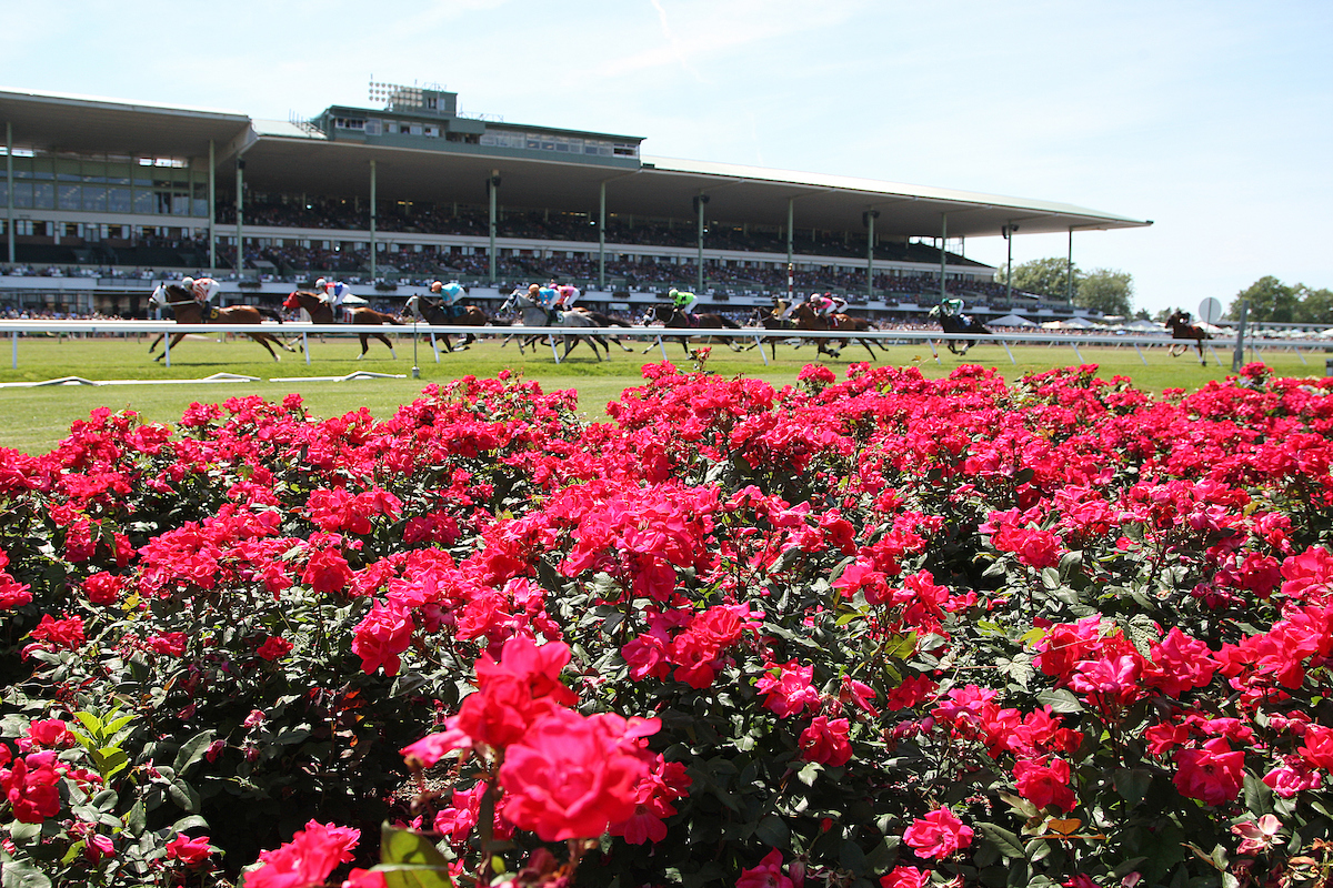 horses and flowers