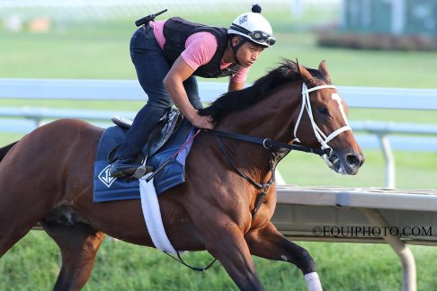 tvg haskell