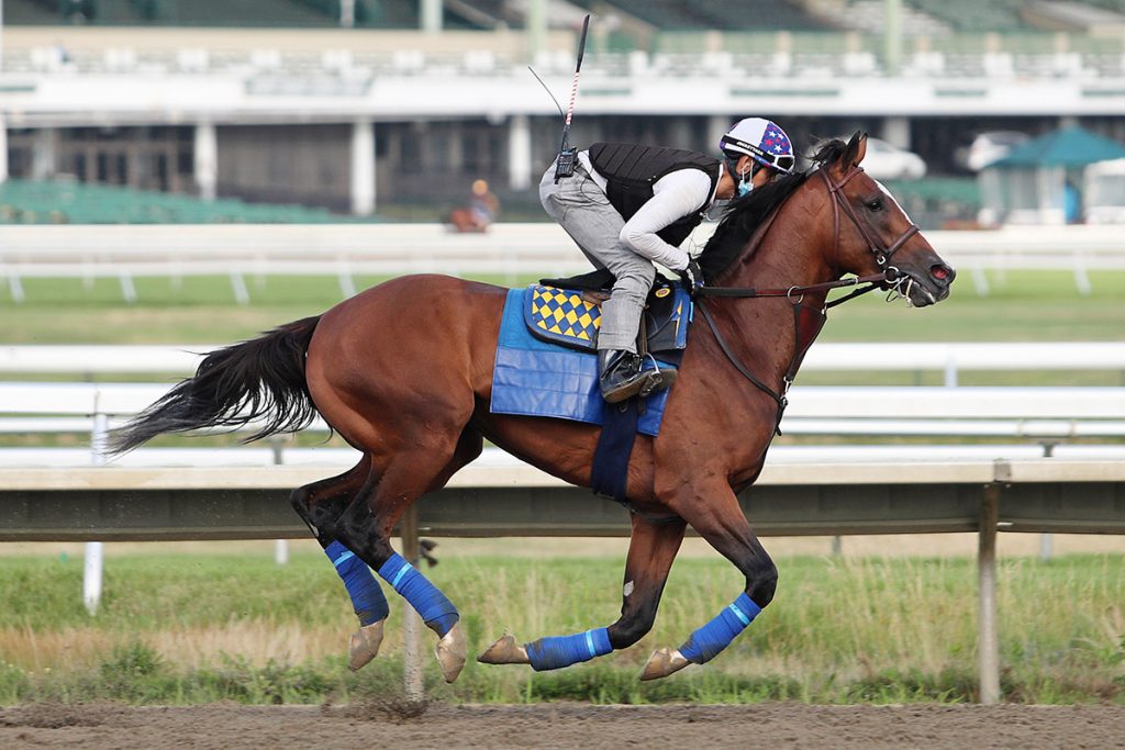 tvg haskell