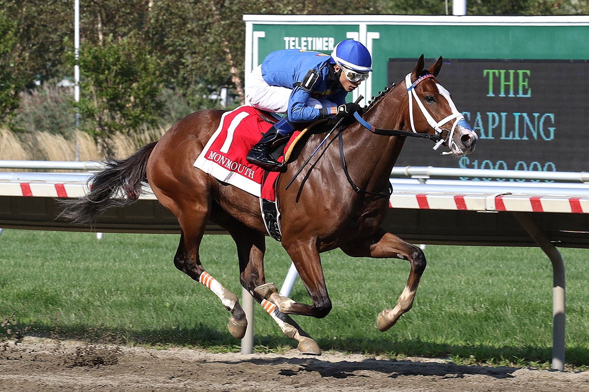Winter Spectacular - Maryland Jockey Club