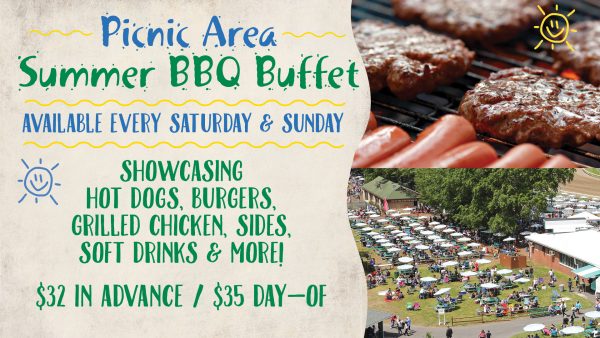 Picnic Buffet