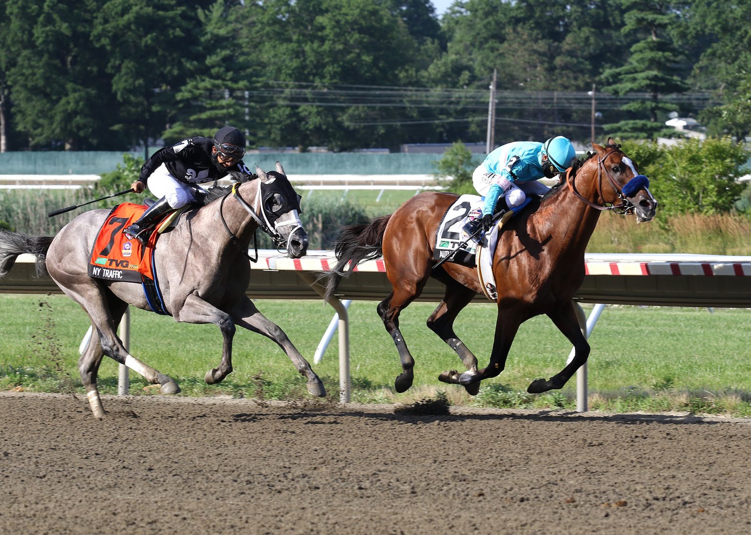 tvg haskell