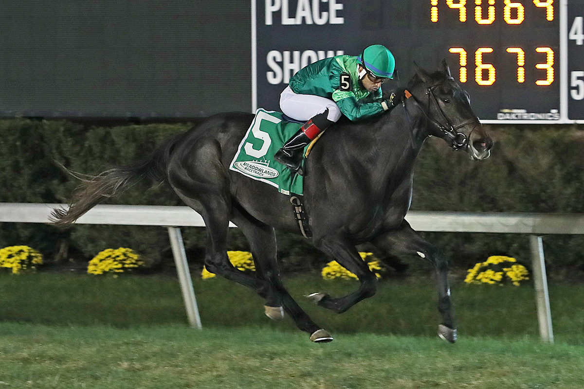 Chad Brown-Trained Bleecker Street Scores By 1 1/2 Lengths In