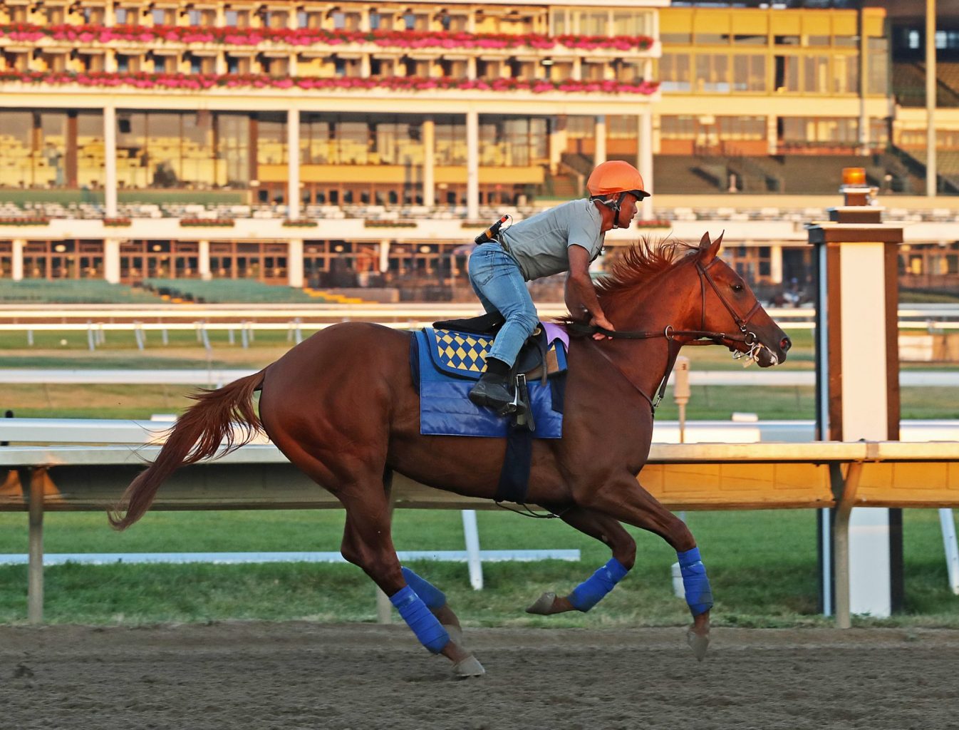 Haskell Monmouth Park
