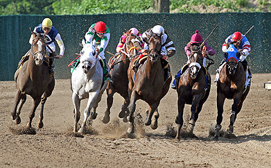 Afleet Express_391x242