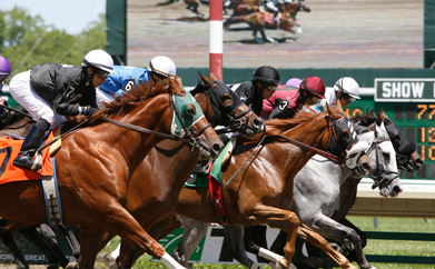 2013 Kentucky Derby Results Chart