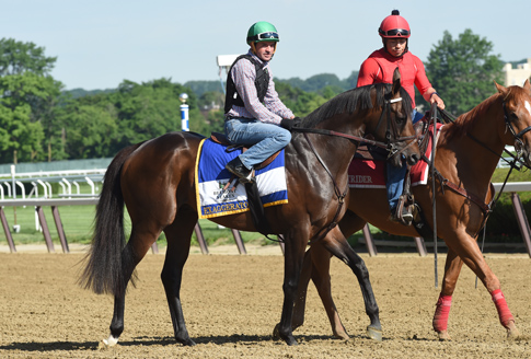 2016_Exaggerator_485x328