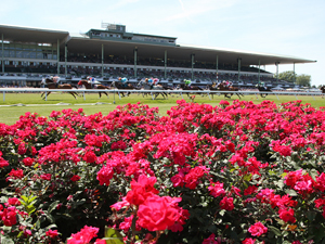 2015 Preakness_300x225