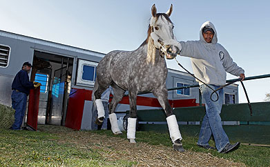 04-13-2012_Horses Arrive 1