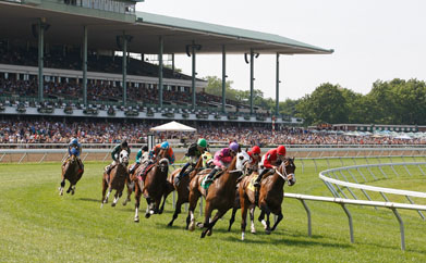 horses racing